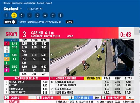 skyform racing|Sky Racing .